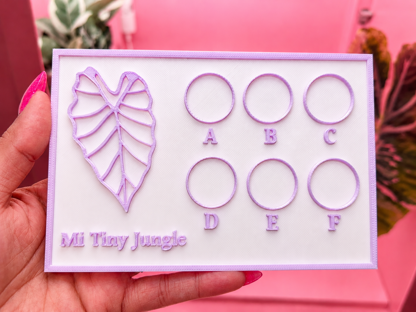 Corm Display Board